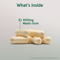Jarrow Formulas, Mastic Gum, 120 Veggie Caps UPC 790011230144 | HiLife Vitamins