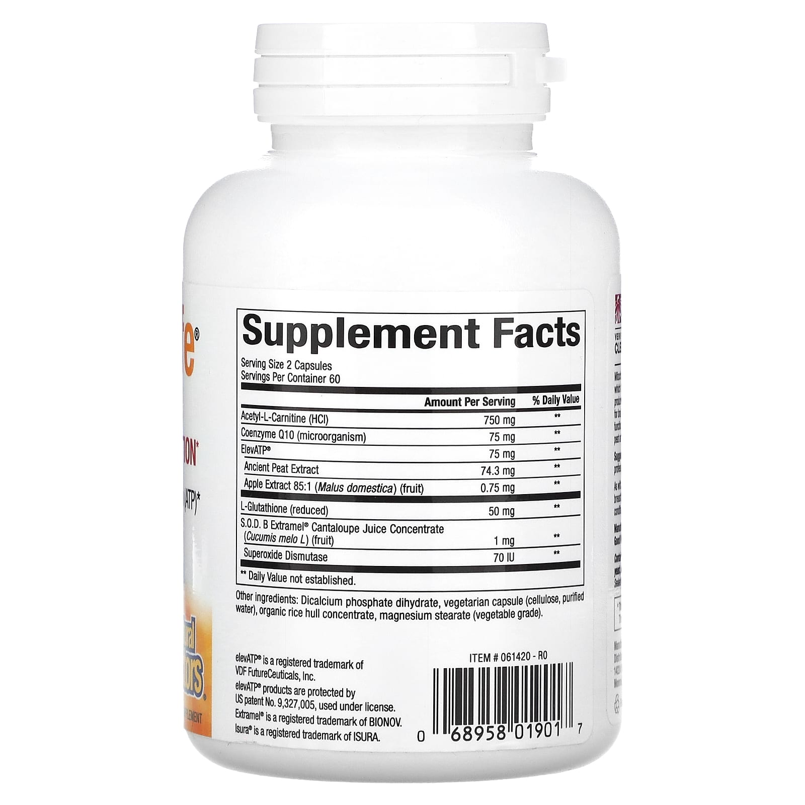 Natural Factors, RegenerLife, Optimize Mitochondrial Function, 120 Vegetarian Capsules UPC 068958019017 | Hilife Vitamins