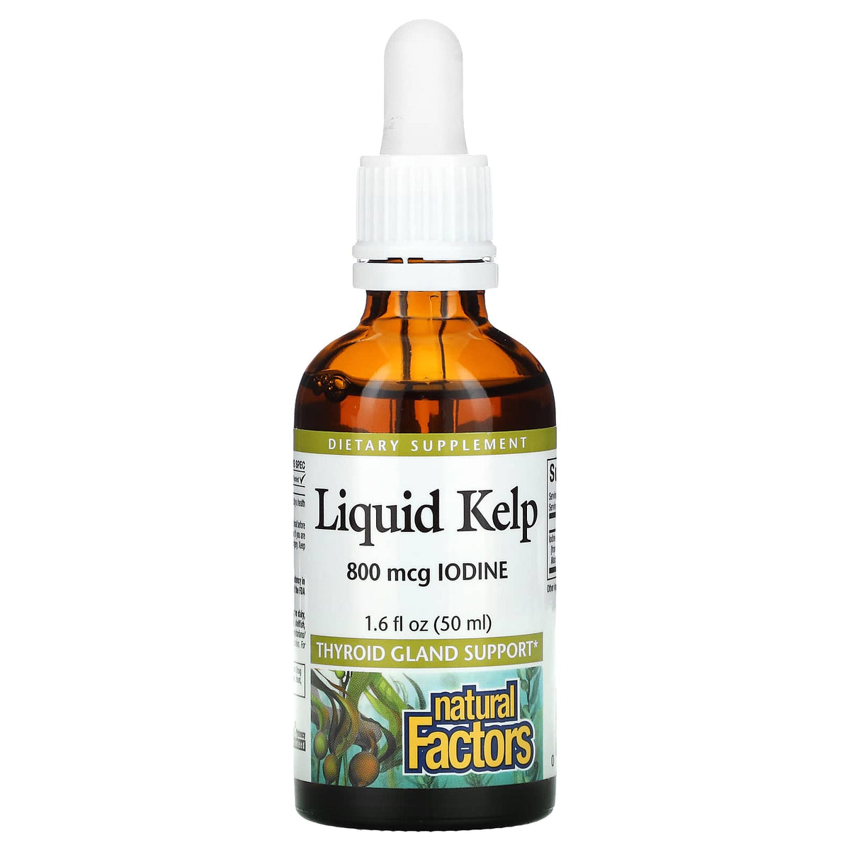 Natural Factors, Liquid Kelp, 800 mcg, 1.6 Oz UPC 068958029092 | Hilife Vitamins