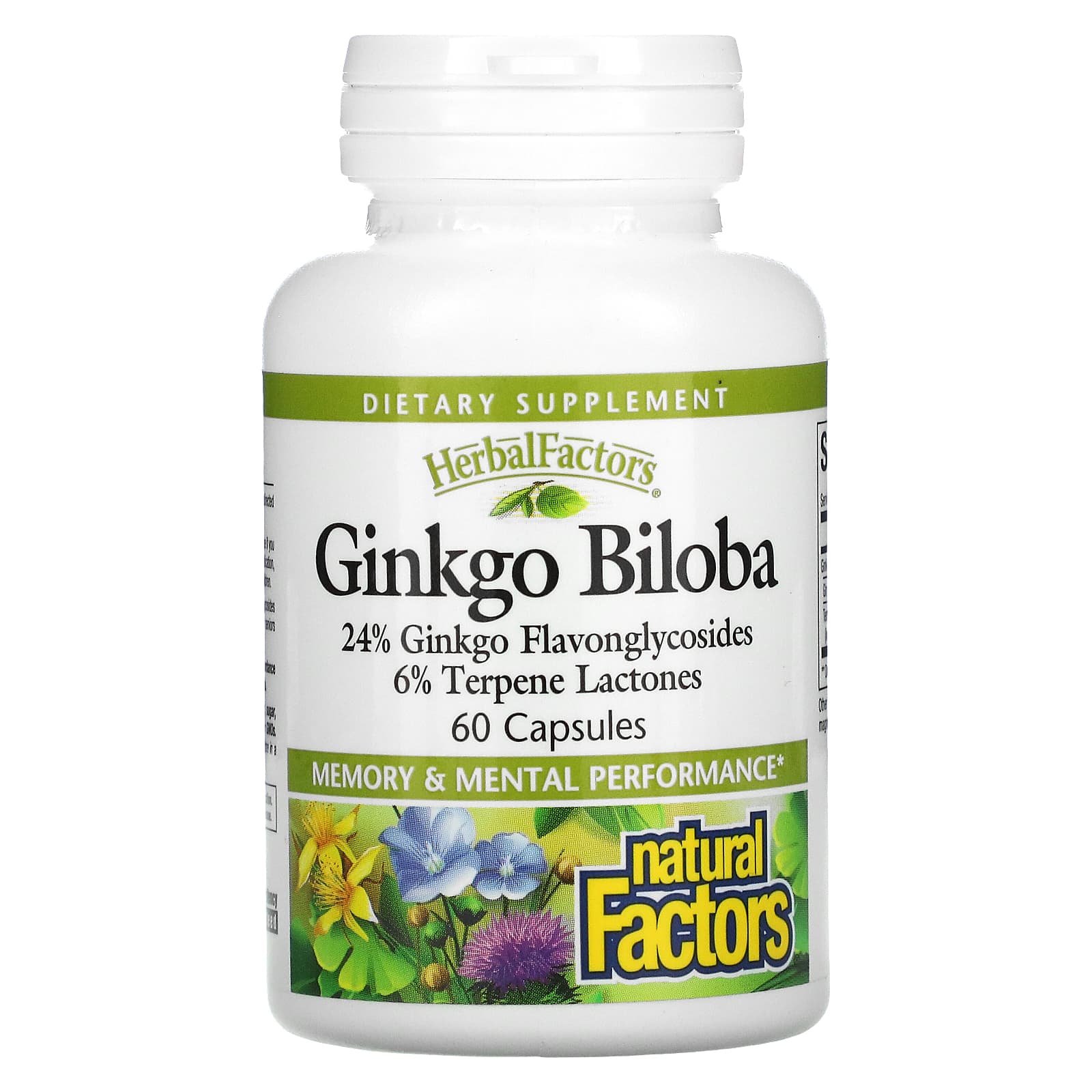 Natural Factors, Ginkgo Biloba, 60 Capsules UPC 068958045320 | Hilife Vitamins