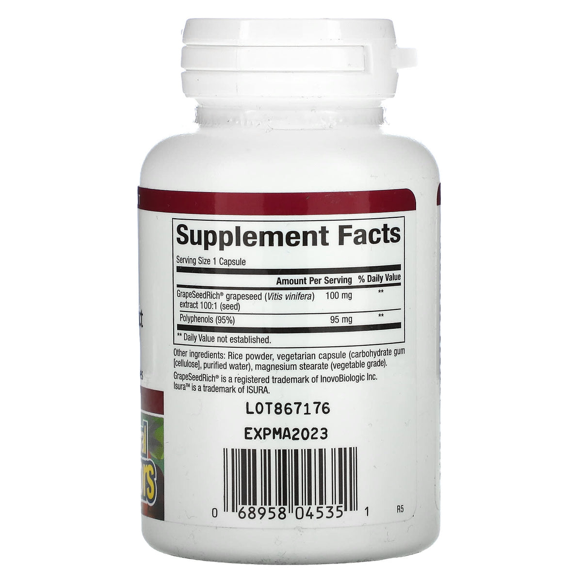 Natural Factors, GrapeSeedRich, Grape Seed Extract, 100, 60 Capsules UPC 068958045351 | Hilife Vitamins
