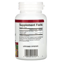 Natural Factors, GrapeSeedRich, Grape Seed Extract, 100, 120 Vegetarian Capsules UPC 068958045405 | Hilife Vitamins