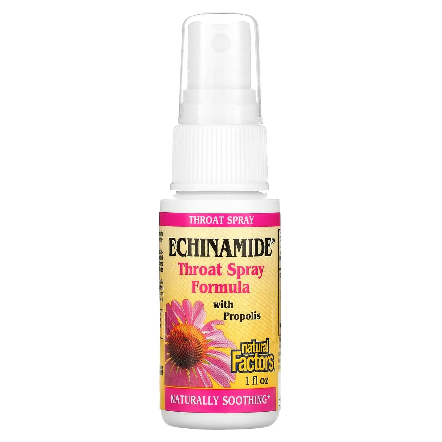 Natural Factors, Echinamide, Throat Spray Formula with P, 1 Oz UPC 068958047461 | Hilife Vitamins