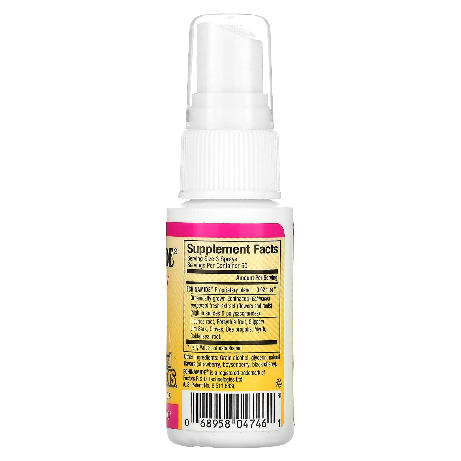 Natural Factors, Echinamide, Throat Spray Formula with P, 1 Oz UPC 068958047461 | Hilife Vitamins