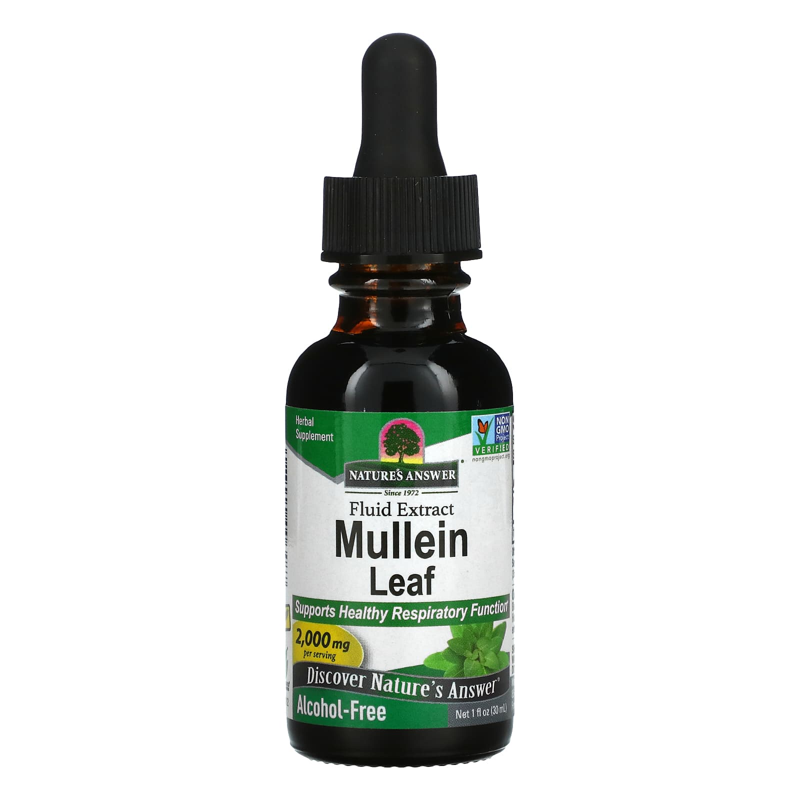 Nature’s Answer, Mullein Leaves Alcohol Free Extract, 1 Oz UPC 083000006487 | Hilife Vitamins