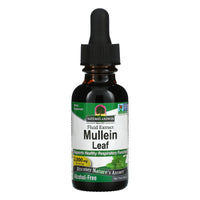 Nature’s Answer, Mullein Leaves Alcohol Free Extract, 1 Oz UPC 083000006487 | Hilife Vitamins