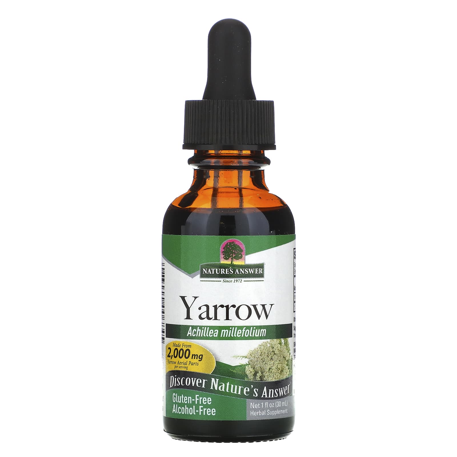 Nature’s Answer, Yarrow Flowers Alcohol Free Extract, 1 Oz UPC 083000006845 | Hilife Vitamins