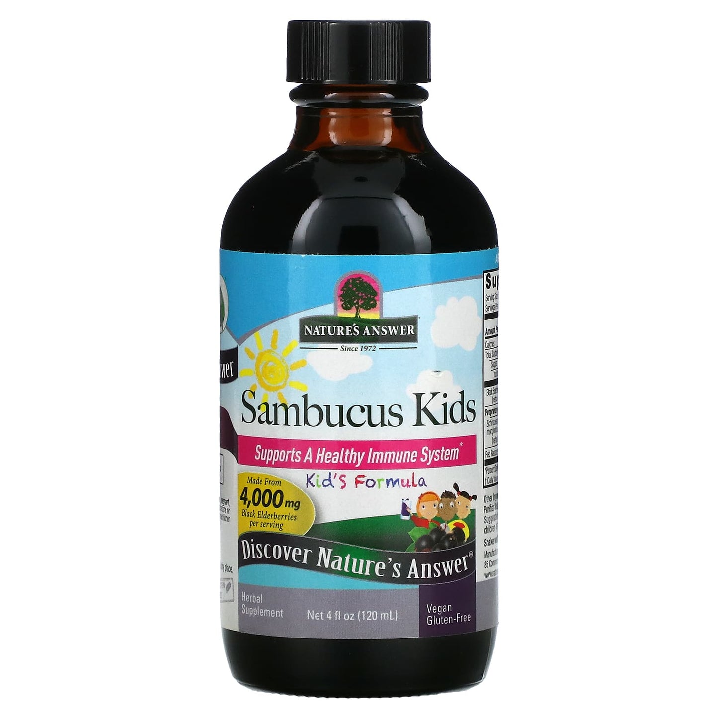 Nature’s Answer, Sambucus Kids, 4 Oz UPC 083000260445 | Hilife Vitamins