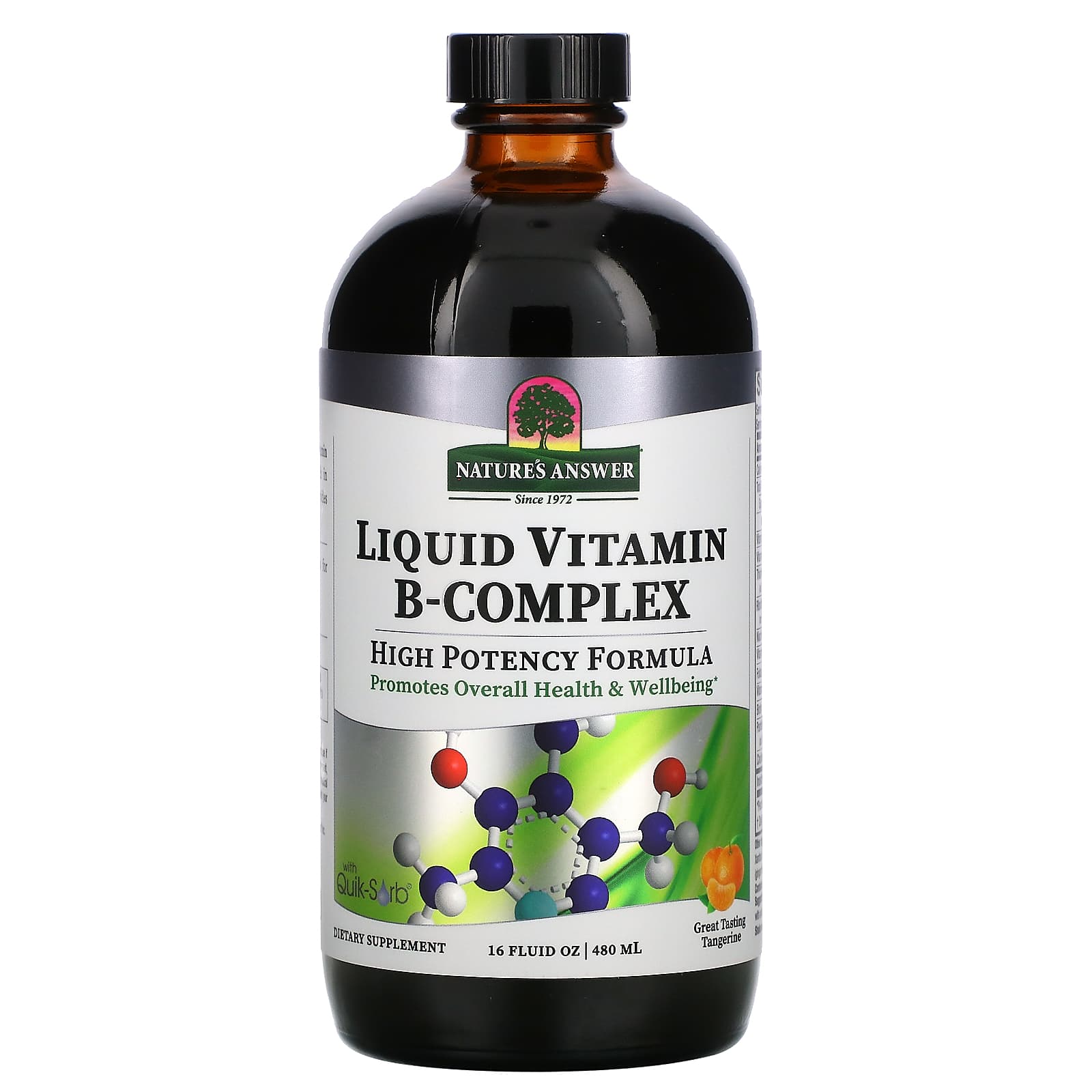 Nature’s Answer, Platinum Vitamin B-Complex, 16 Oz UPC 083000261077 | Hilife Vitamins