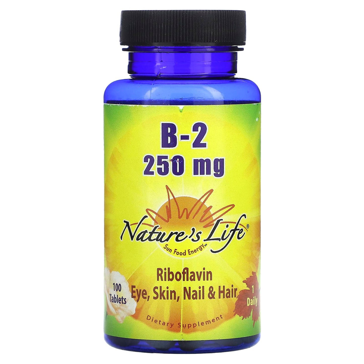 Nature’s Life, B-2 250mg, 100 Tablets UPC 040647001220 | HiLife Vitamins