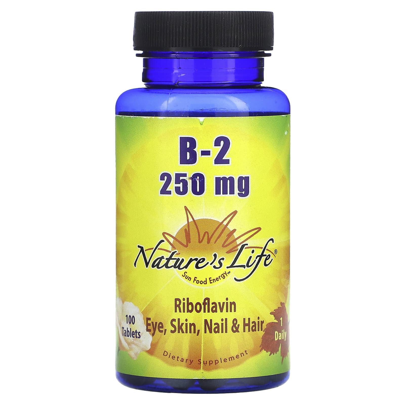 Nature’s Life, B-2 250mg, 100 Tablets UPC 040647001220 | HiLife Vitamins