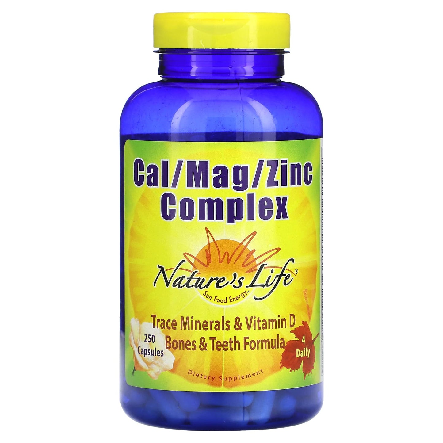 Nature’s Life, Cal/Mag/Zinc 1000/500/15 mg, 250 Capsules UPC 040647004313 | HiLife Vitamins