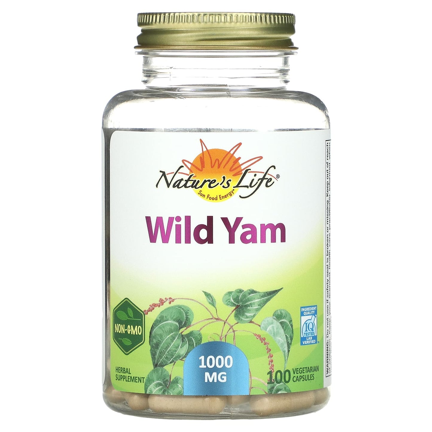 Nature’s Life, Wild Yam, 100 Vegetarian Capsules UPC 041954264728 | HiLife Vitamins