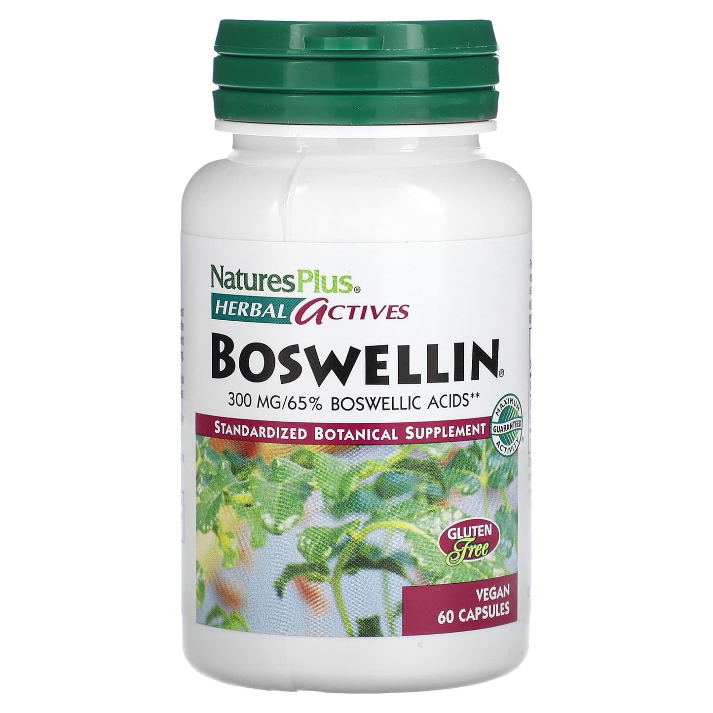 Nature's Plus, Herbal Actives, Boswellin, Extended Release, 300 mg, 60 Vegetarian Capsules UPC 097467071247 | Hilife Vitamins
