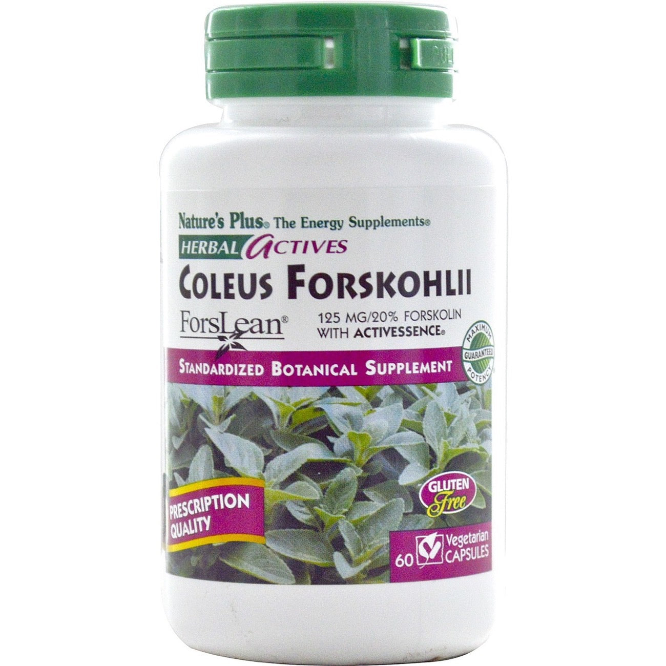 Nature's Plus, Herbal Actives, Coleus Forskohlii, ForsLean 125 mg, 60 Vegetarian Capsules UPC 097467071704 | Hilife Vitamins