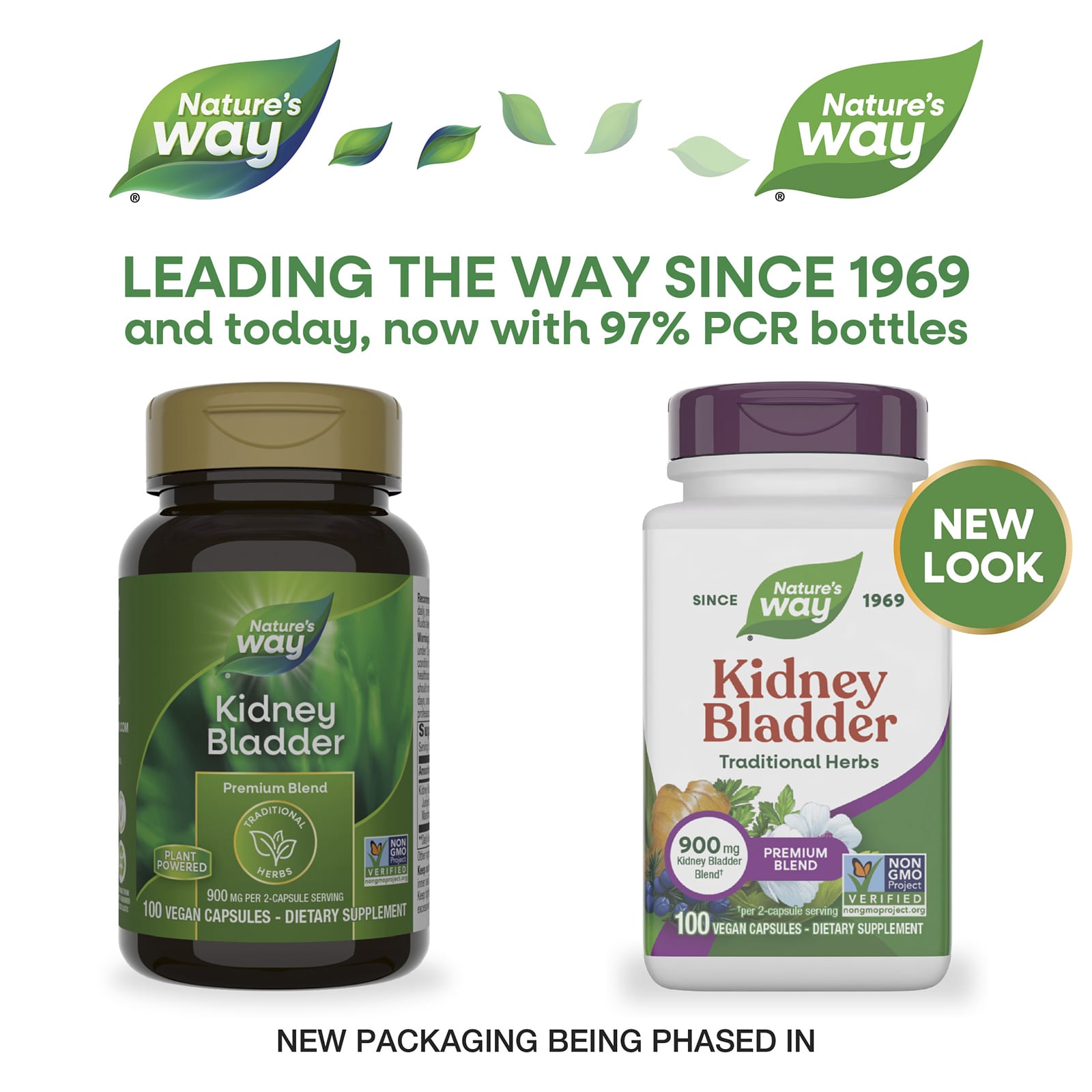 Nature’s Way, Kidney Bladder, 100 Vegetarian Capsules UPC 033674001103 | Hilife Vitamins