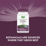 Nature’s Way, Kidney Bladder, 100 Vegetarian Capsules - [product_sku] | HiLife Vitamins