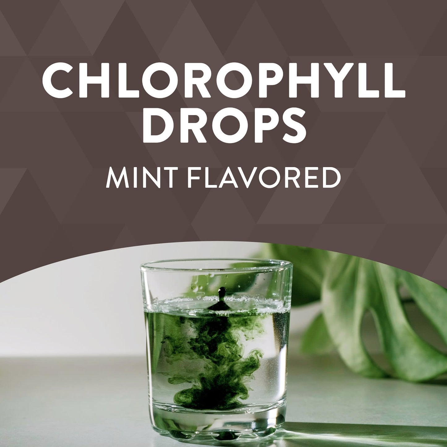 Nature’s Way, Chlorofresh drops mint 2oz, 2 Oz UPC 033674100080 | Hilife Vitamins