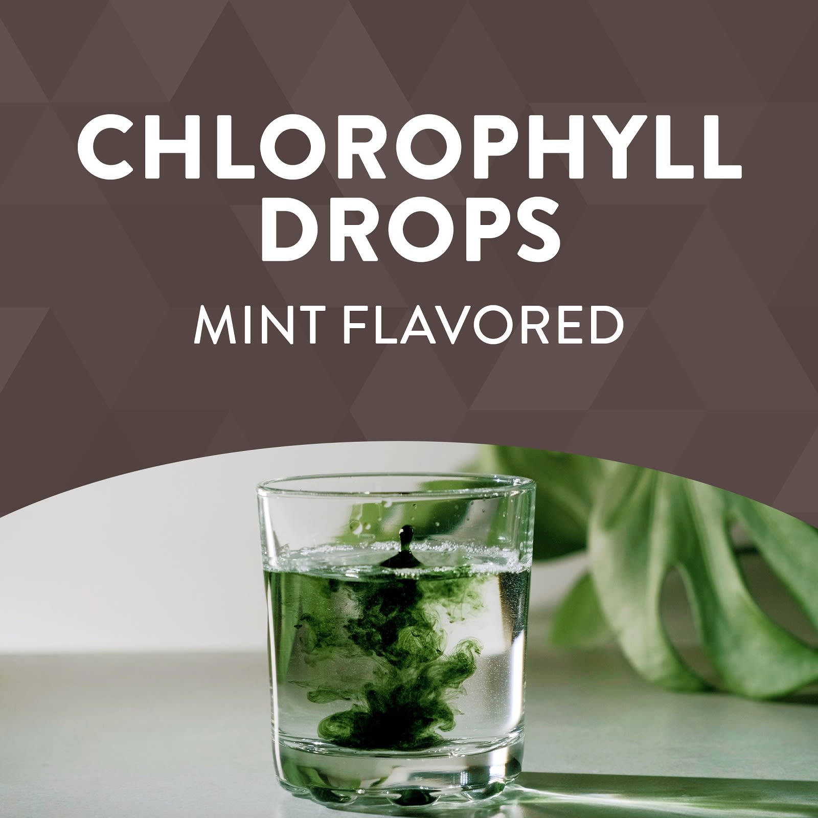 Nature’s Way, Chlorofresh drops mint 2oz, 2 Oz UPC 033674100080 | Hilife Vitamins