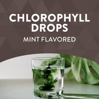 Nature’s Way, Chlorofresh drops mint 2oz, 2 Oz UPC 033674100080 | Hilife Vitamins