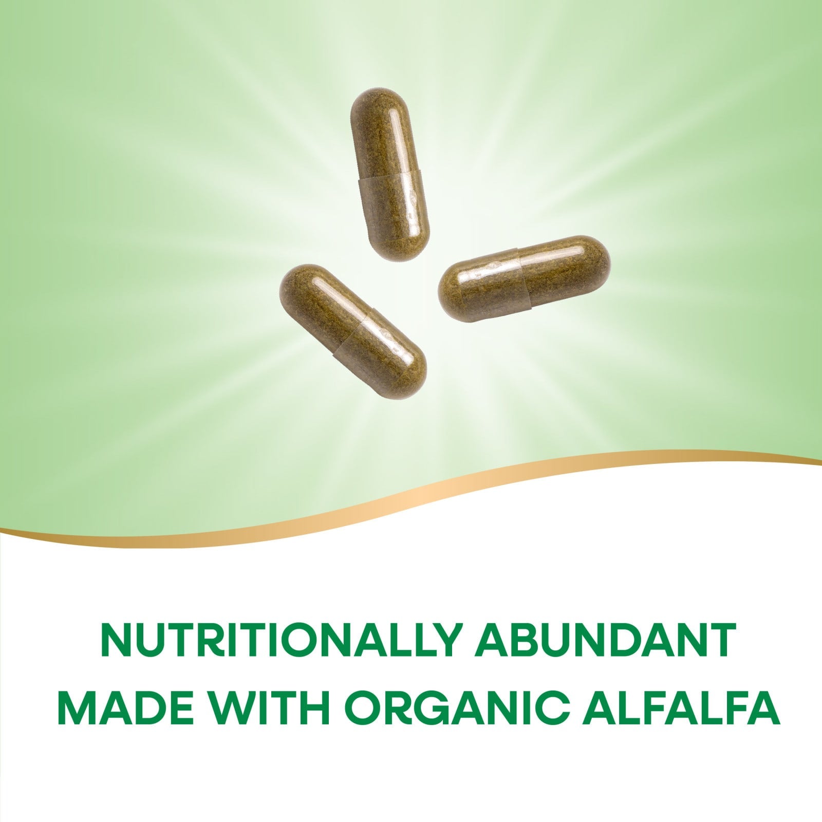 Nature’s Way, Alfalfa Leaves, 100 Vegetarian Capsules UPC 033674101001 | Hilife Vitamins