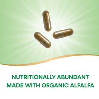 Nature’s Way, Alfalfa Leaves, 100 Vegetarian Capsules UPC 033674101001 | Hilife Vitamins