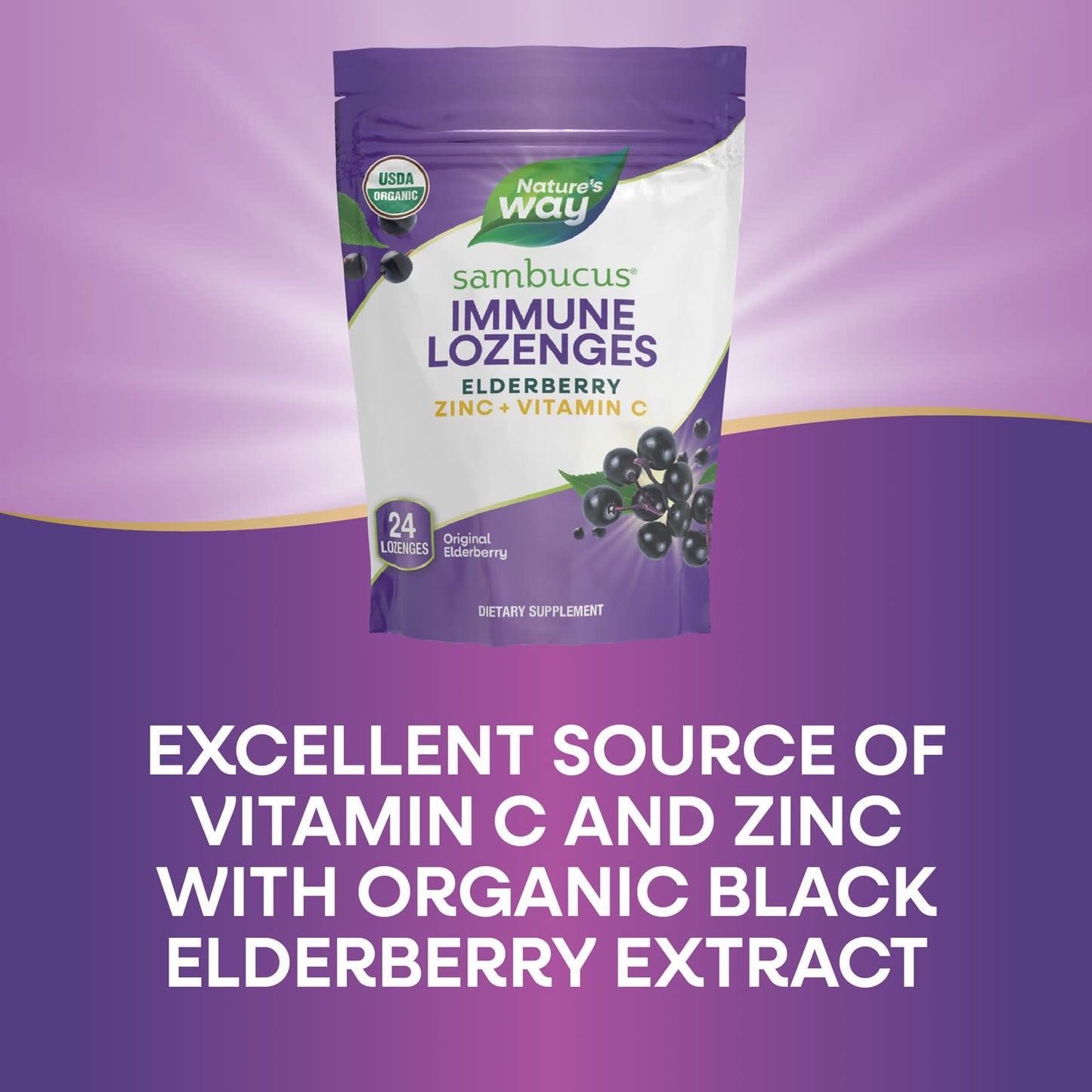 Nature’s Way, Zinc Lozenge Sambucus Organic, 24 Lozenges UPC 033674102206 | Hilife Vitamins