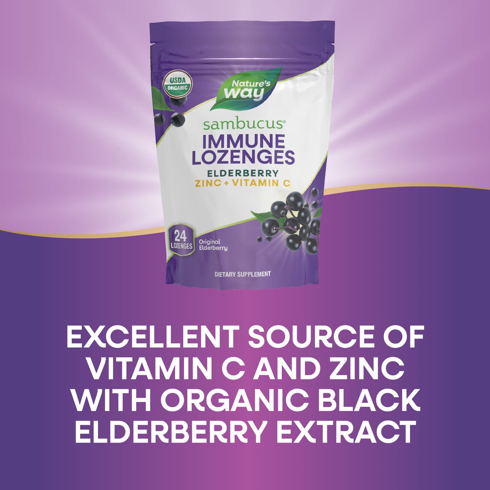 Nature’s Way, Zinc Lozenge Sambucus Organic, 24 Lozenges UPC 033674102206 | Hilife Vitamins