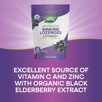 Nature’s Way, Zinc Lozenge Sambucus Organic, 24 Lozenges UPC 033674102206 | Hilife Vitamins