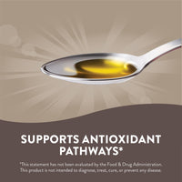 Nature’s Way, Black Seed Oil, 8 Oz Liquid - [product_sku] | HiLife Vitamins