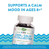 Nature’s Way, Kids, Cool, Calm & Collected, Ages 8 +, Grape, 40 Gummies UPC 033674133699 | Hilife Vitamins