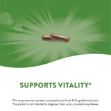 Nature’s Way, Gotu Kola Herb, 475 mg, 180 Vegan Capsules - [product_sku] | HiLife Vitamins