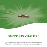 Nature’s Way, Gotu Kola Herb, 475 mg, 180 Vegan Capsules UPC 033674140086 | Hilife Vitamins