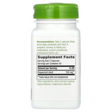 Nature’s Way, Peppermint Leaves, 100 Vegetarian Capsules - [product_sku] | HiLife Vitamins