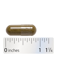 Nature’s Way, Horsetail Grass, 100 Vegetarian Capsules UPC 033674143001 | Hilife Vitamins