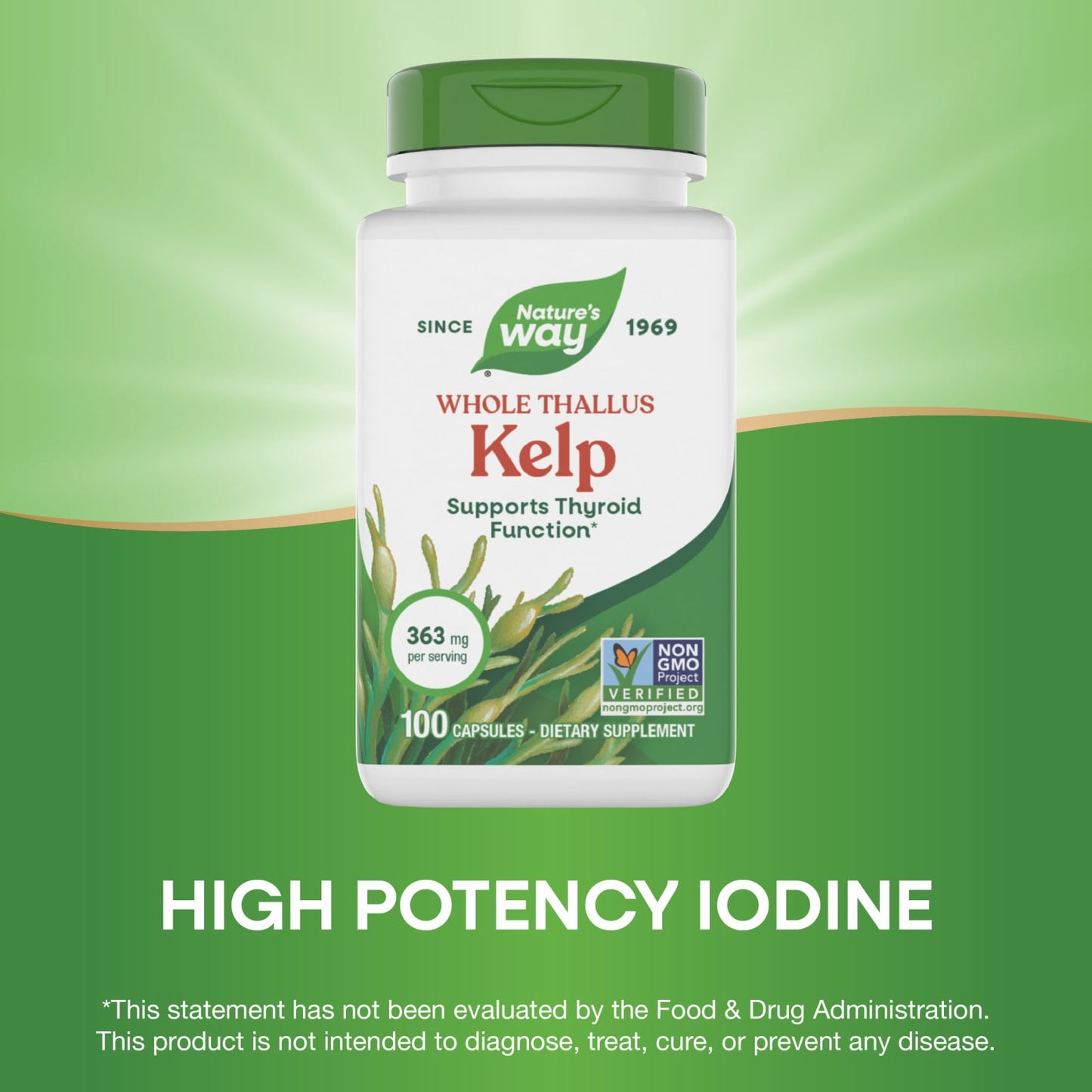 Nature’s Way, Kelp, Whole Thallus, 600 mg, 100 Vegan Capsules UPC 033674145005 | Hilife Vitamins