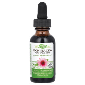 Nature’s Way, Echinacea Extract With Glycerine, 1 Oz - 033674146361 | Hilife Vitamins