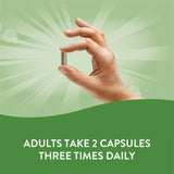 Nature’s Way, Neem, 100 Vegetarian Capsules - [product_sku] | HiLife Vitamins