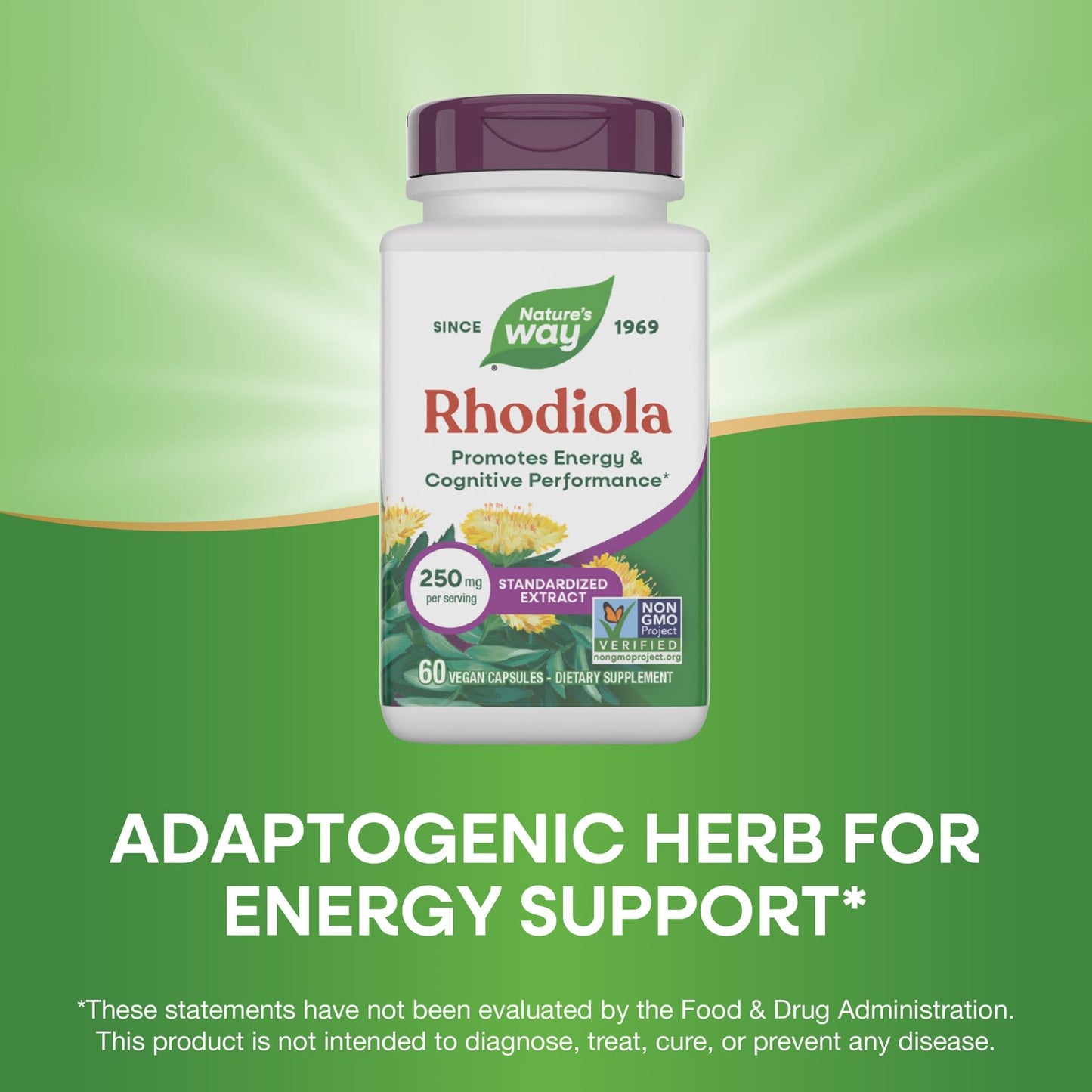 Nature’s Way, Rhodiola Rosea, 60 Vegetarian Capsules UPC 033674153215 | Hilife Vitamins