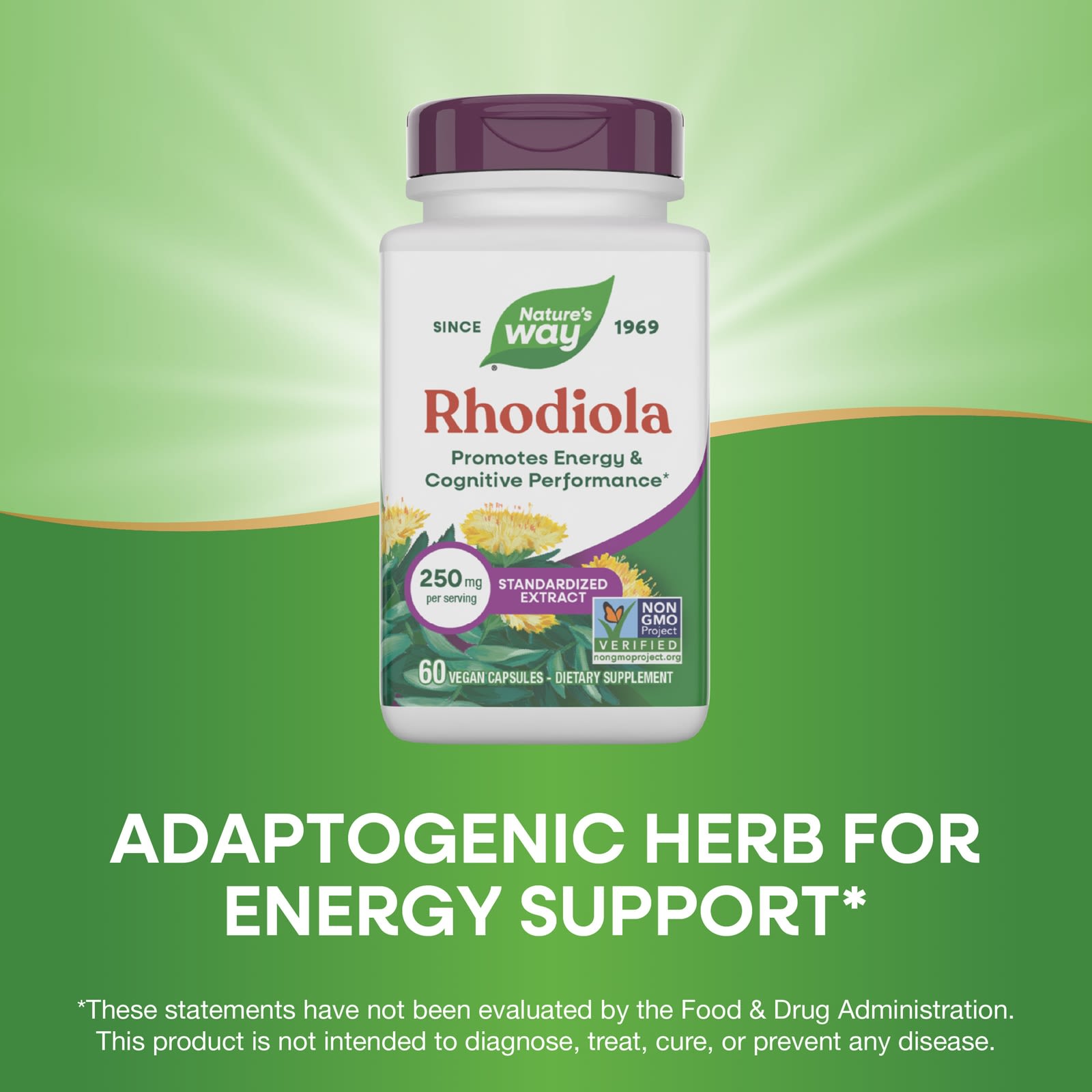 Nature’s Way, Rhodiola Rosea, 60 Vegetarian Capsules UPC 033674153215 | Hilife Vitamins