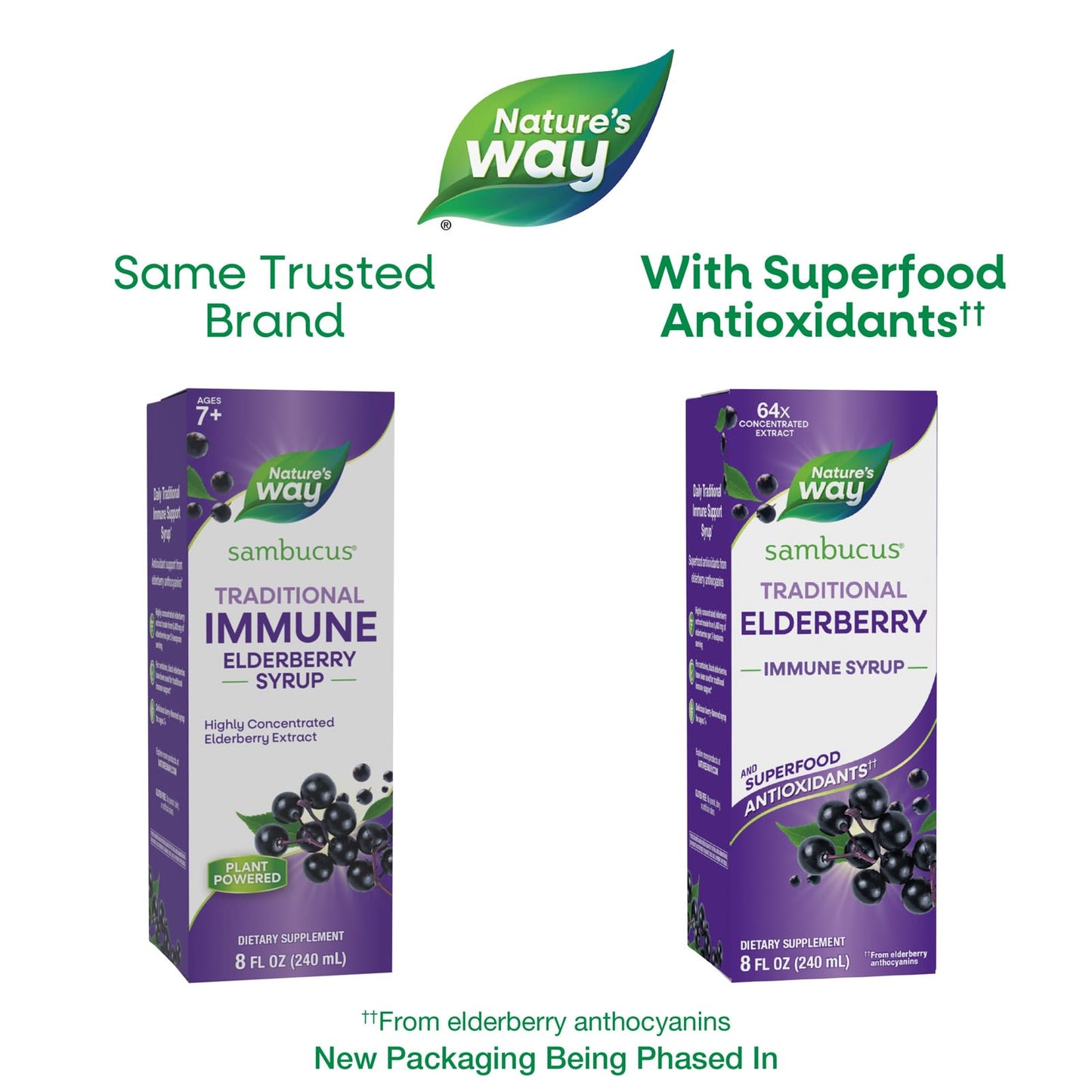 Nature’s Way, Sambucus®, Traditional Immune Syrup, Elderberry, 8 fl oz (240 ml) UPC 033674153321 | Hilife Vitamins