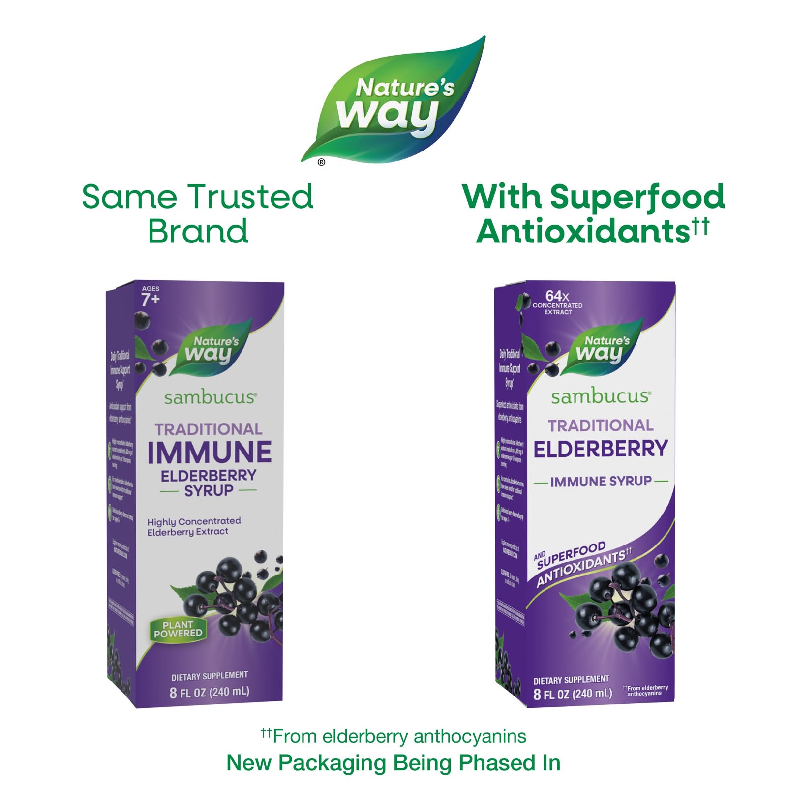 Nature’s Way, Sambucus®, Traditional Immune Syrup, Elderberry, 8 fl oz (240 ml) UPC 033674153321 | Hilife Vitamins