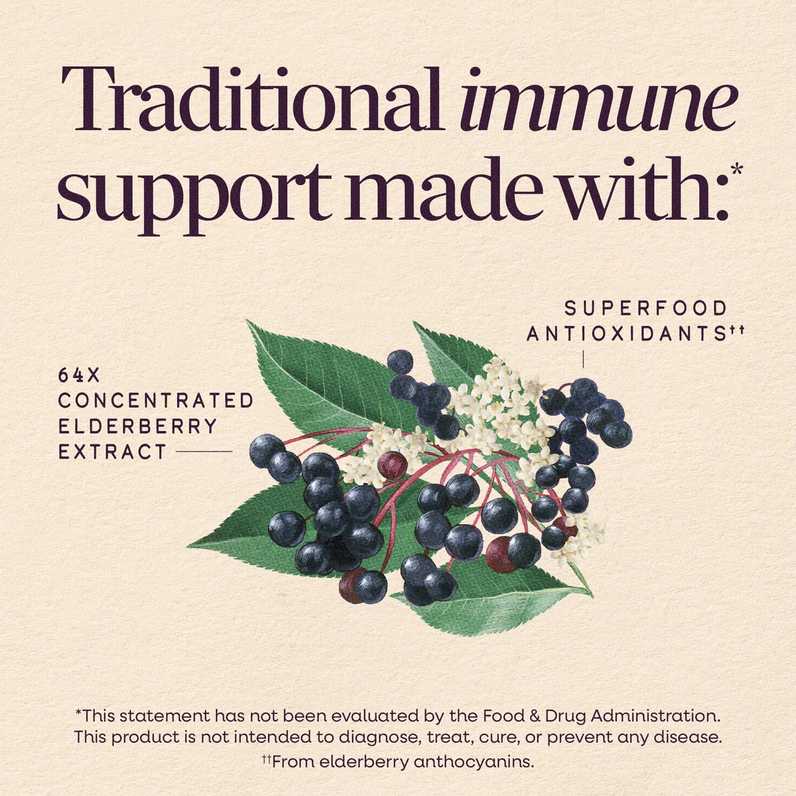 Nature’s Way, Sambucus®, Traditional Immune Syrup, Elderberry, 8 fl oz (240 ml) UPC 033674153321 | Hilife Vitamins