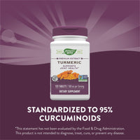 Nature’s Way, Turmeric Standardized Extract, 120 Tablets UPC 033674153567 | Hilife Vitamins