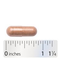 Nature’s Way, Red Yeast Rice, 600 mg, 120 Vegan Capsules UPC 033674155400 | Hilife Vitamins