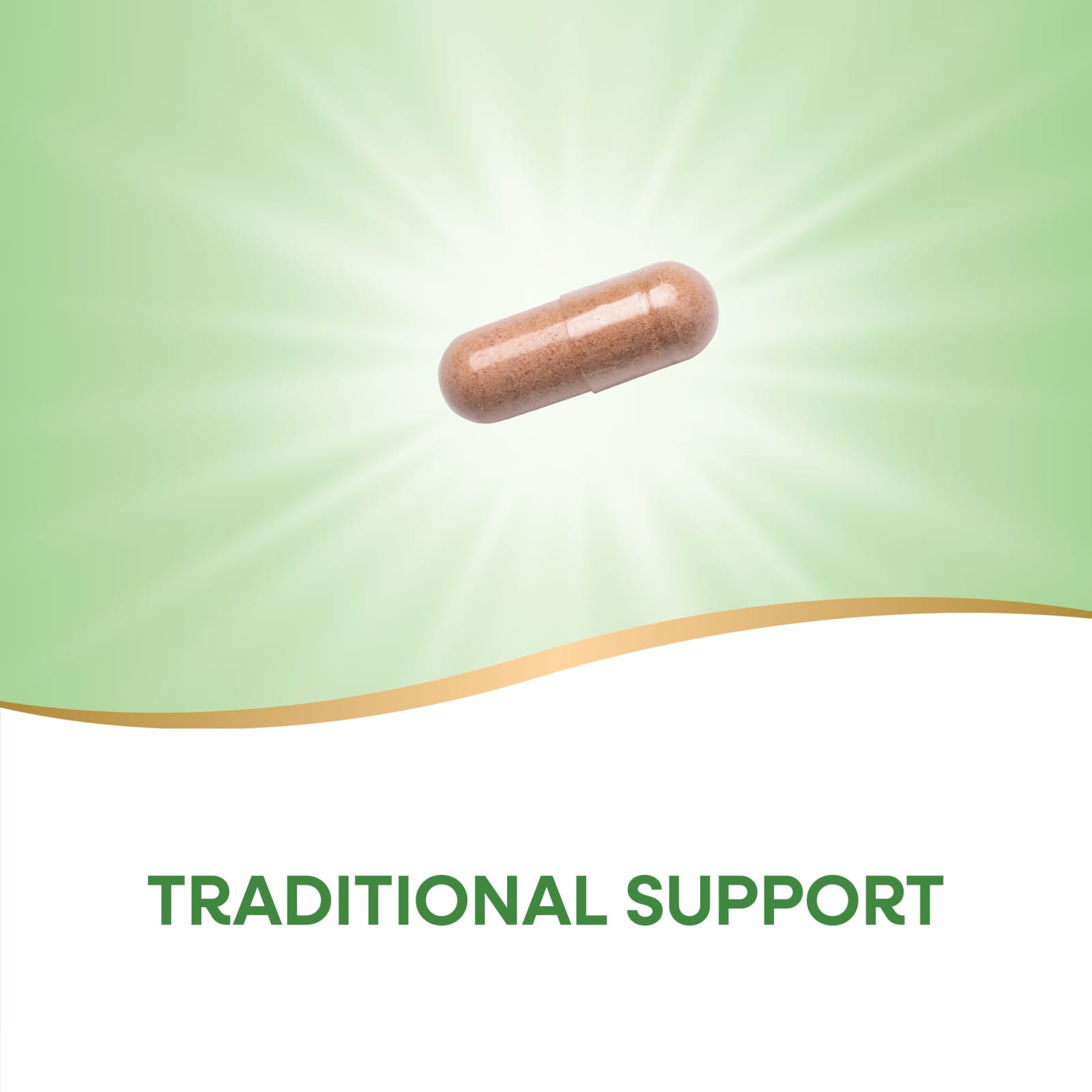 Nature’s Way, Red Yeast Rice, 600 mg, 120 Vegan Capsules UPC 033674155400 | Hilife Vitamins