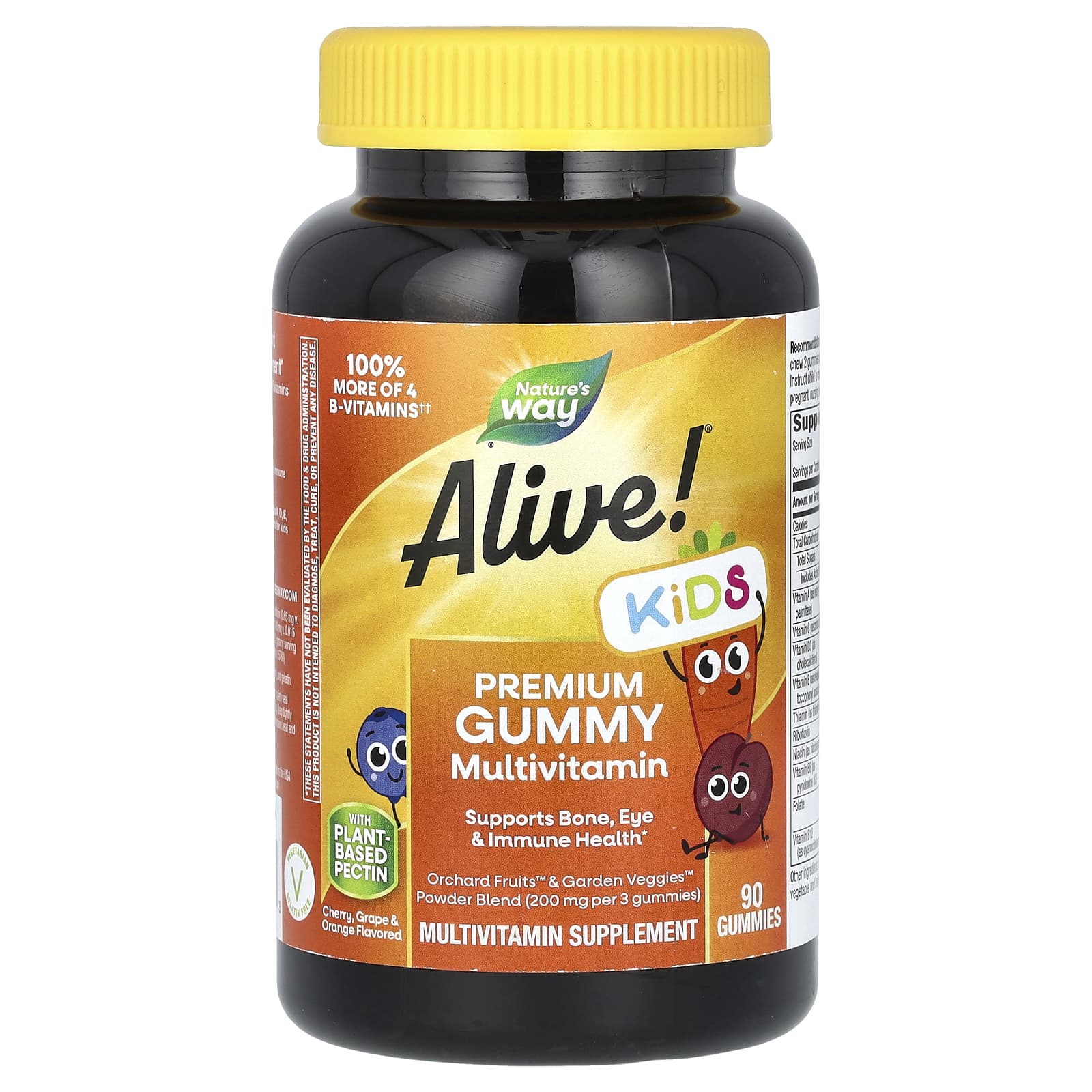 Nature’s Way, Alive! Children's Multi-Vitamin, 90 Gummies UPC 033674157893 | Hilife Vitamins