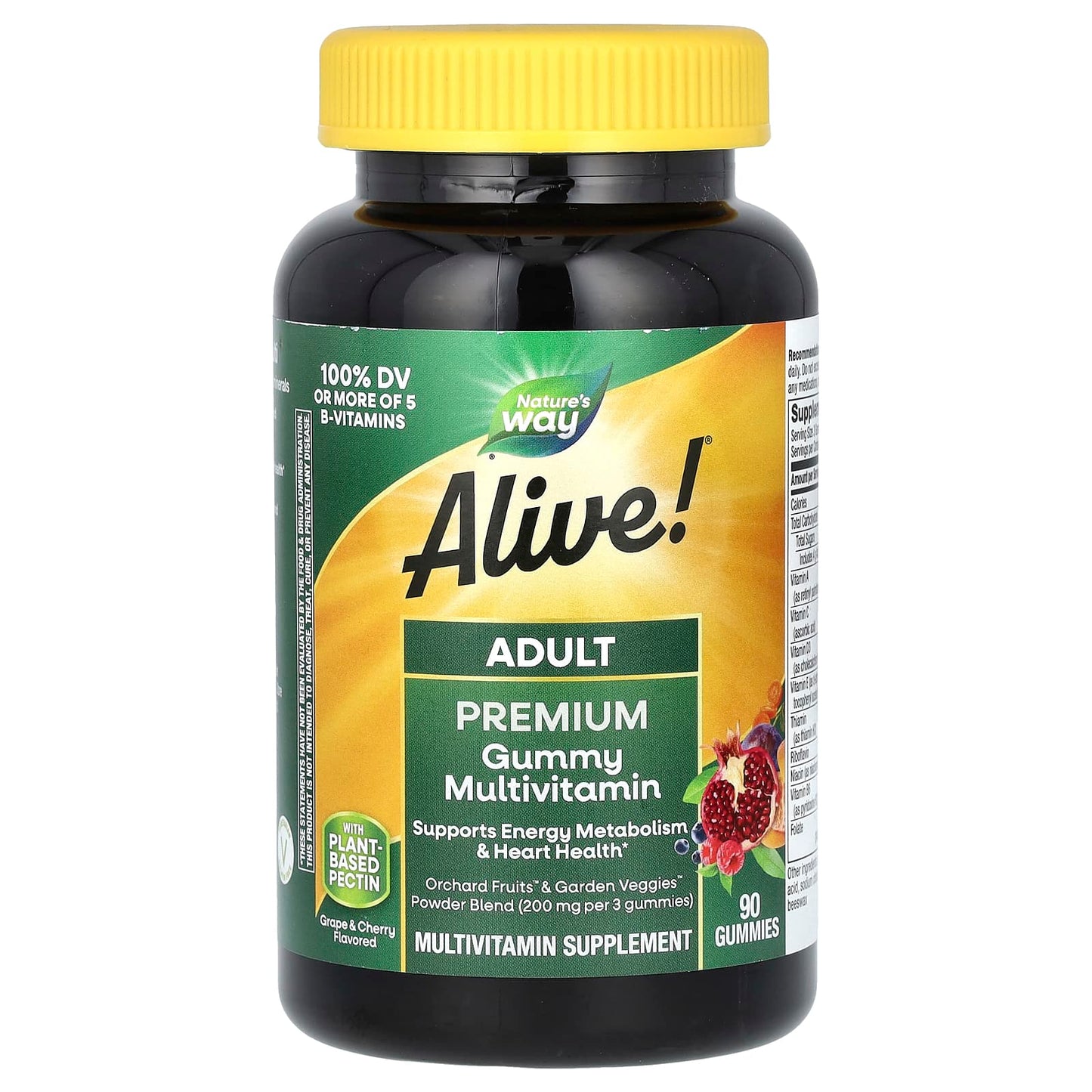 Nature’s Way, Alive! Multi-Vitamin, Adult Gummies, Fruit Flavors, 90 Gummies UPC 033674158173 | Hilife Vitamins