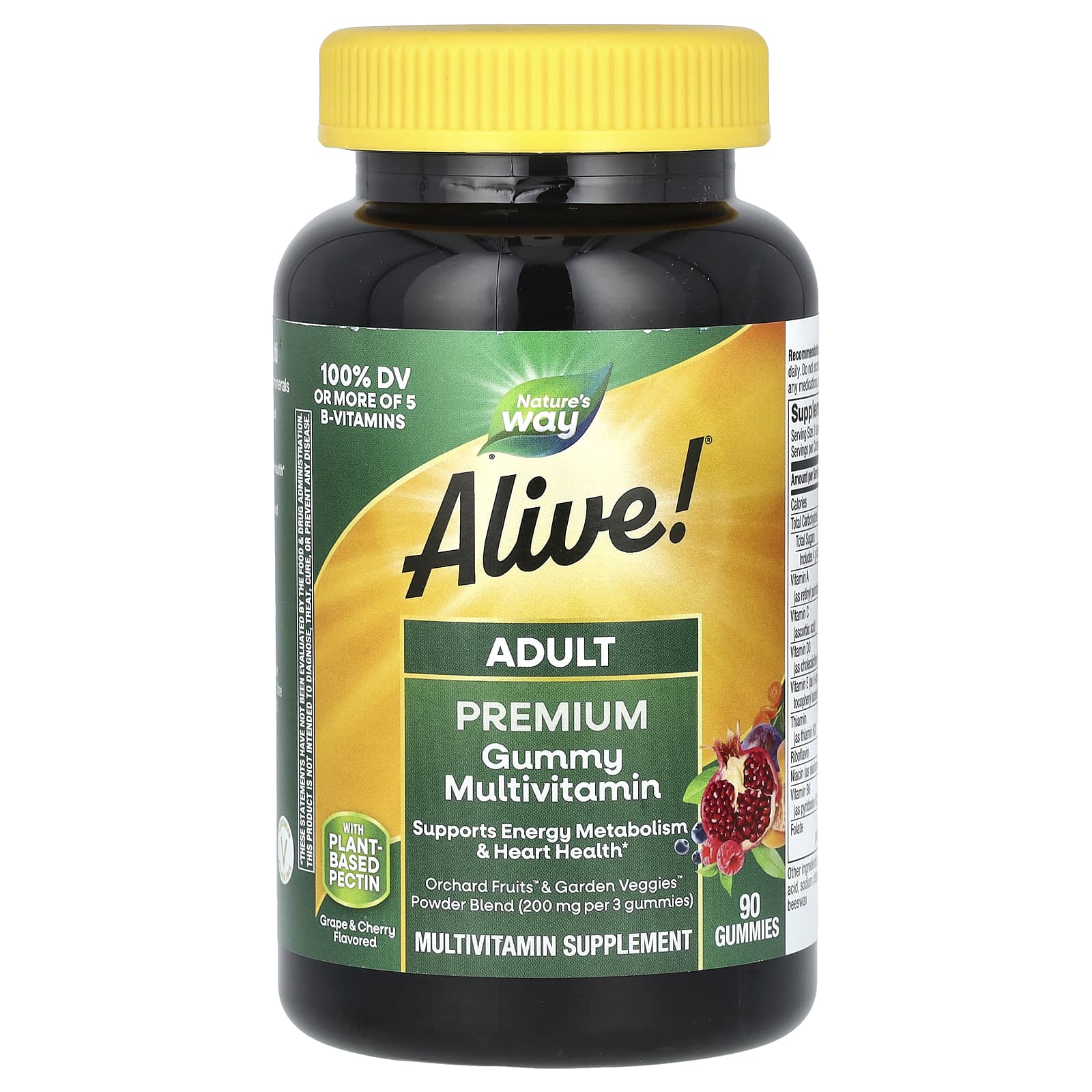Nature’s Way, Alive! Multi-Vitamin, Adult Gummies, Fruit Flavors, 90 Gummies UPC 033674158173 | Hilife Vitamins