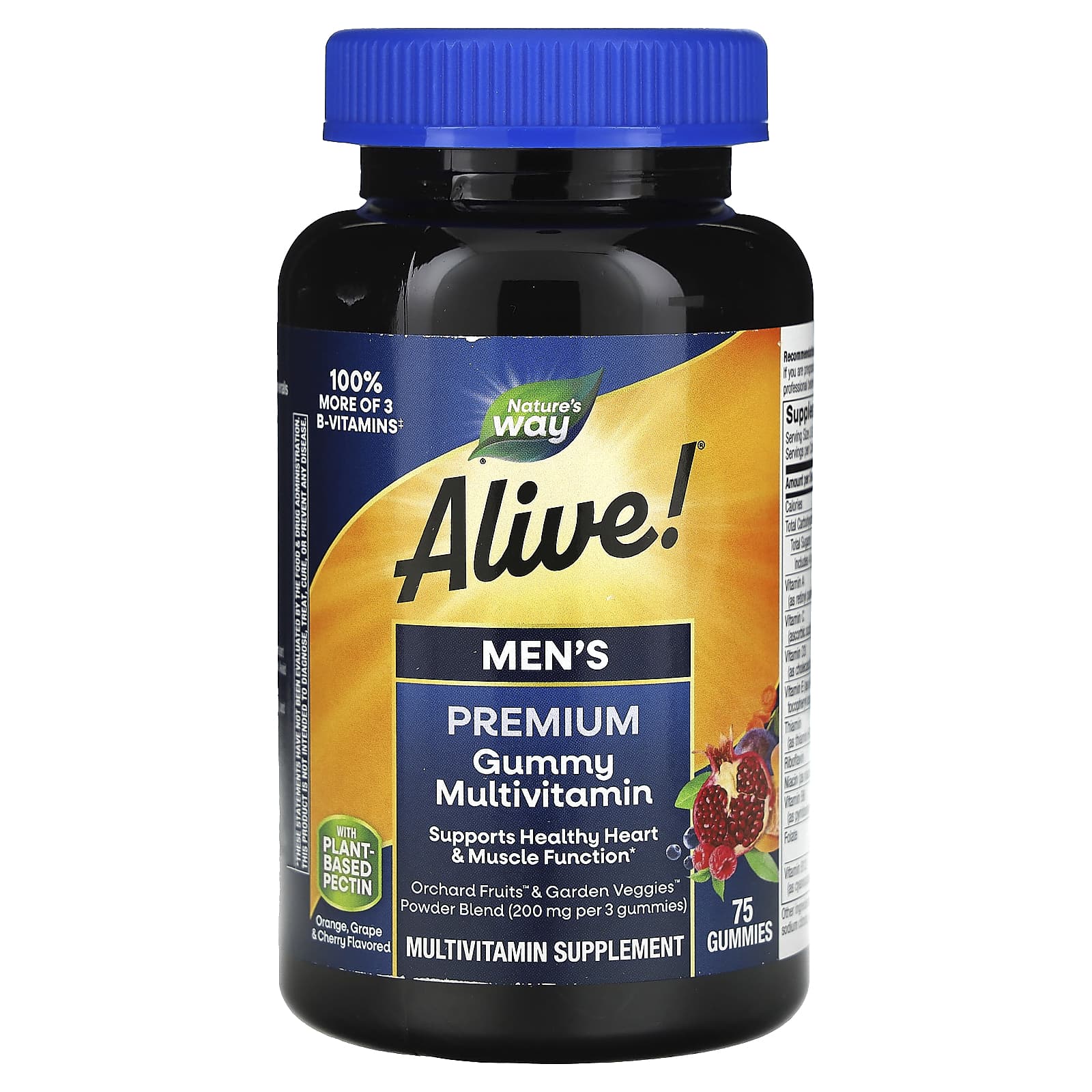 Nature’s Way, Alive! Men's Gummy Multi Vitamin, 75 Gummies UPC 033674158951 | Hilife Vitamins